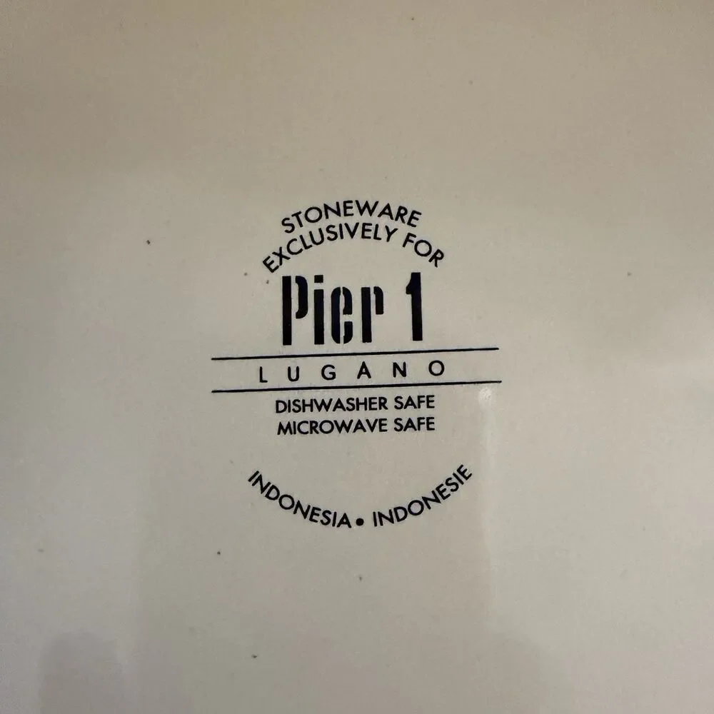 PIER 1 PIER ONE Lugano Dinner Plate PLATE 10.5/8
